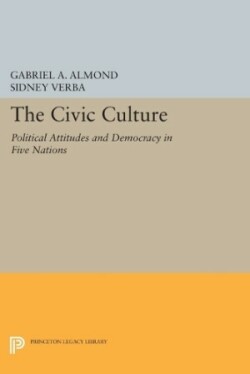 Civic Culture