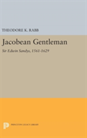 Jacobean Gentleman