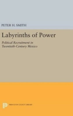 Labyrinths of Power