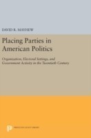 Placing Parties in American Politics