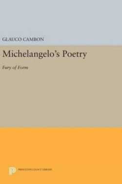 Michelangelo's Poetry