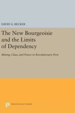 New Bourgeoisie and the Limits of Dependency