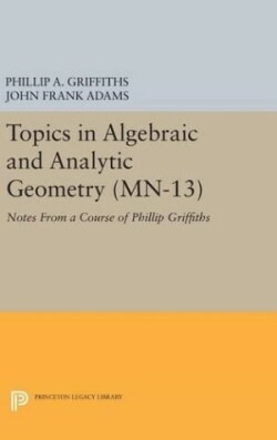 Topics in Algebraic and Analytic Geometry