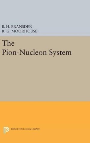 Pion-Nucleon System