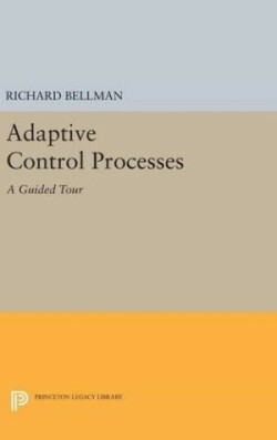 Adaptive Control Processes