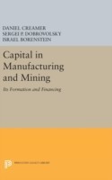 Capital in Manufacturing and Mining