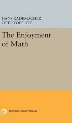 Enjoyment of Math