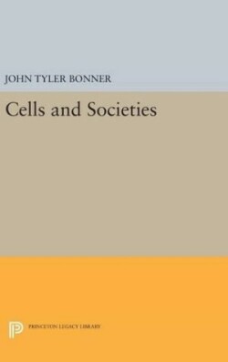 Cells and Societies