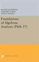 Foundations of Algebraic Analysis