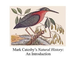 Mark Catesby's Natural History