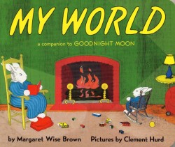 My World Board Book