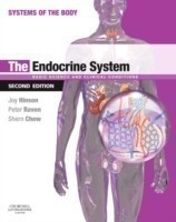 Endocrine System