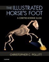 The Illustrated Horse's Foot : A Comprehensive Guide