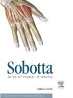 Sobotta Atlas of Human Anatomy 3Vols. English 15th Ed.