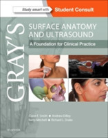 Gray's Surface Anatomy and Ultrasound : A Foundation for Clinical Practice
