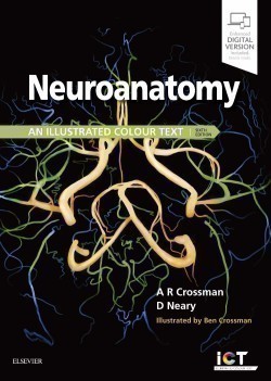 Neuroanatomy: an Illustrated Colour Text, 6th ed.