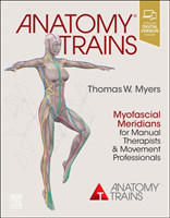 Anatomy Trains