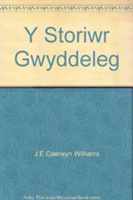 Y Storiwr Gwyddeleg
