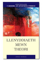 Llenyddiaeth Mewn Theori