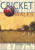 Cricket in Wales