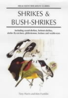 Shrikes and Bush-shrikes