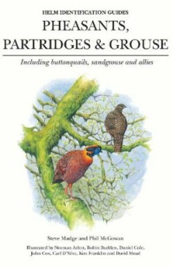 Pheasants, Patridges and Grouse