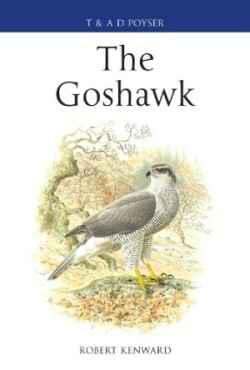 Goshawk