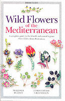 Wild Flowers of Mediterranean