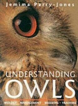 Understanding Owls