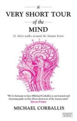 Very Short Tour of the Mind