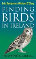 Finding Birds in Ireland