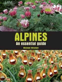 Alpines