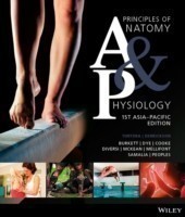 Principles of Anatomy and Physiology