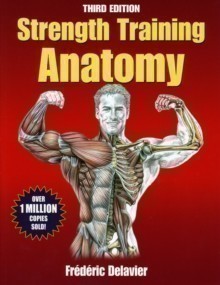 Strength Training Anatomy