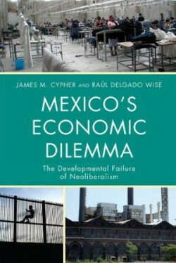 Mexico's Economic Dilemma