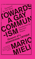 Towards a Gay Communism