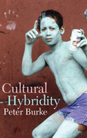 Cultural Hybridity