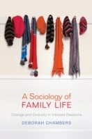 A Sociology of Family Life