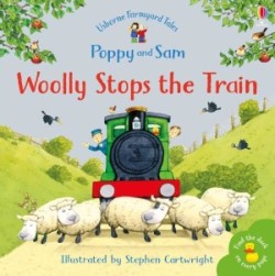 FYT MINI WOOLLY STOPS THE TRAIN