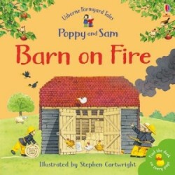 FYT MINI BARN ON FIRE