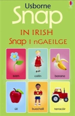 USBORNE SNAP CARDS IN IRISH