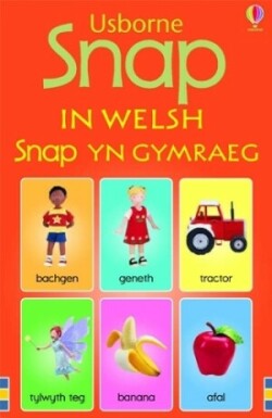 USBORNE SNAP CARDS IN WELSH