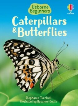 BEG CATERPILLARS BUTTERFLIES H