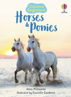 HORSES AND PONIES BEGINNERS