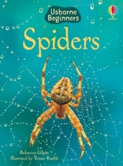 SPIDERS BEGINNERS HB