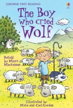 Usborne First Reading Level 3: The Boy who cried Wolf