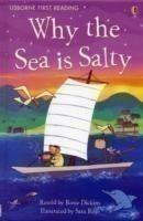 Usborne First Reading Level 4: Why the Sea is Salty