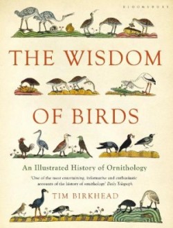 The Wisdom of Birds