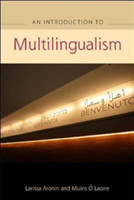 Advanced Guide to Multilingualism