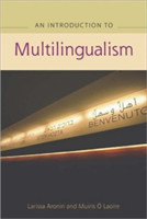 Advanced Guide to Multilingualism